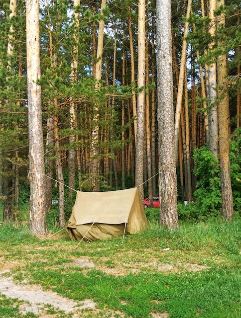 What You Need To Know Whenever You Go Camping