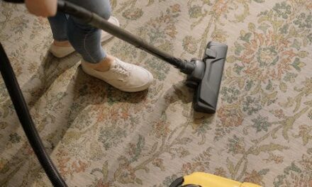 Carpet Cleaning Businesses: All That You Should Know