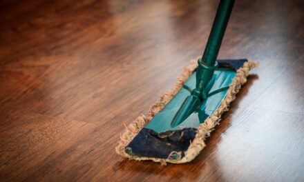 Carpet Cleaning: Suggestions You May Use