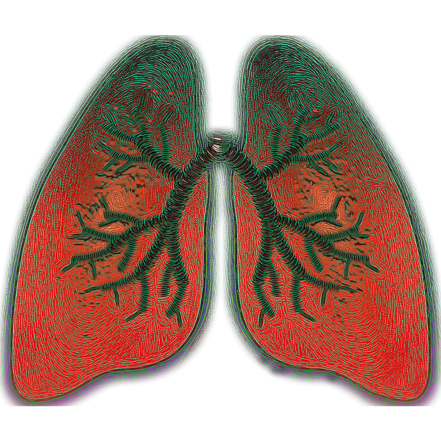 What All Bronchial asthma People Should Be Aware Of About