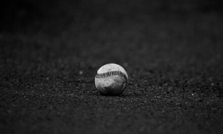 Are You A Baseball Novice? Give This A Study!