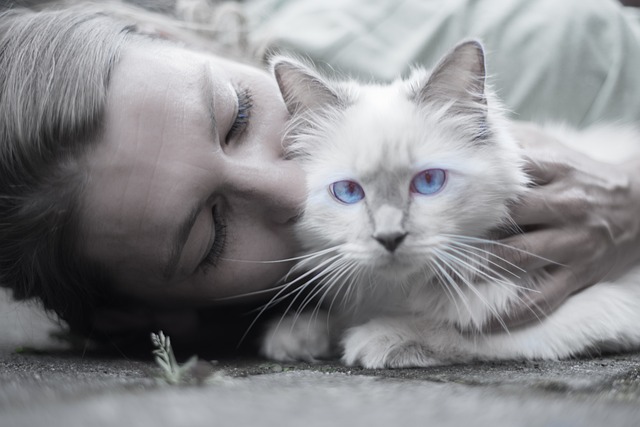 What Feline Owners Need To Find Out