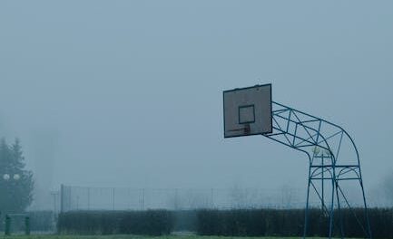 Acquire Your Basketball Activity To New Amounts By Using The Following Tips