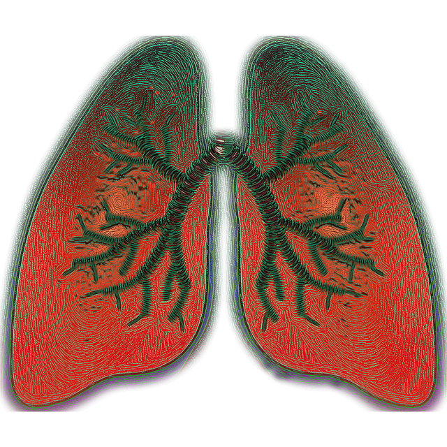 Bronchial asthma Aid And Guidance From Breathing Specialists