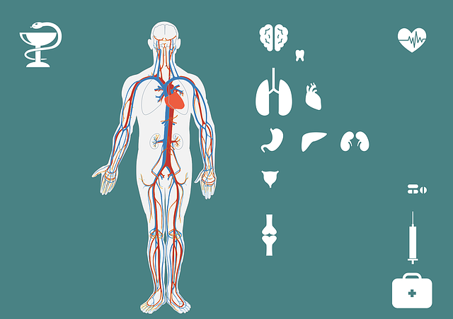 Joint disease Troubling You? Here’s Some Helpful Advice