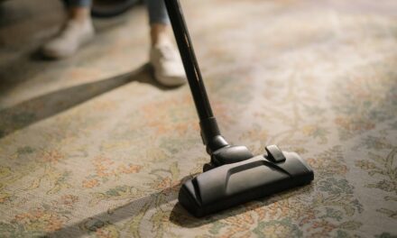 Carpet Cleaners Businesses: Tips To Help You Take Care Of Them