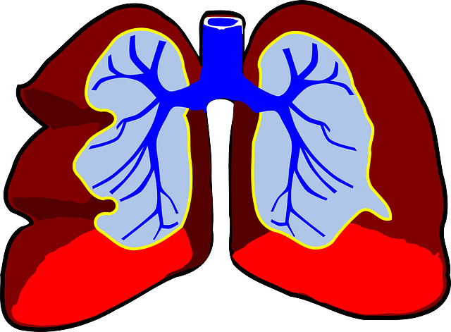 What You Need To Do For Those Who Have Bronchial asthma