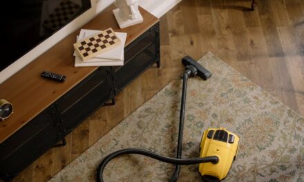 Carpet Cleaners: What You Must Know